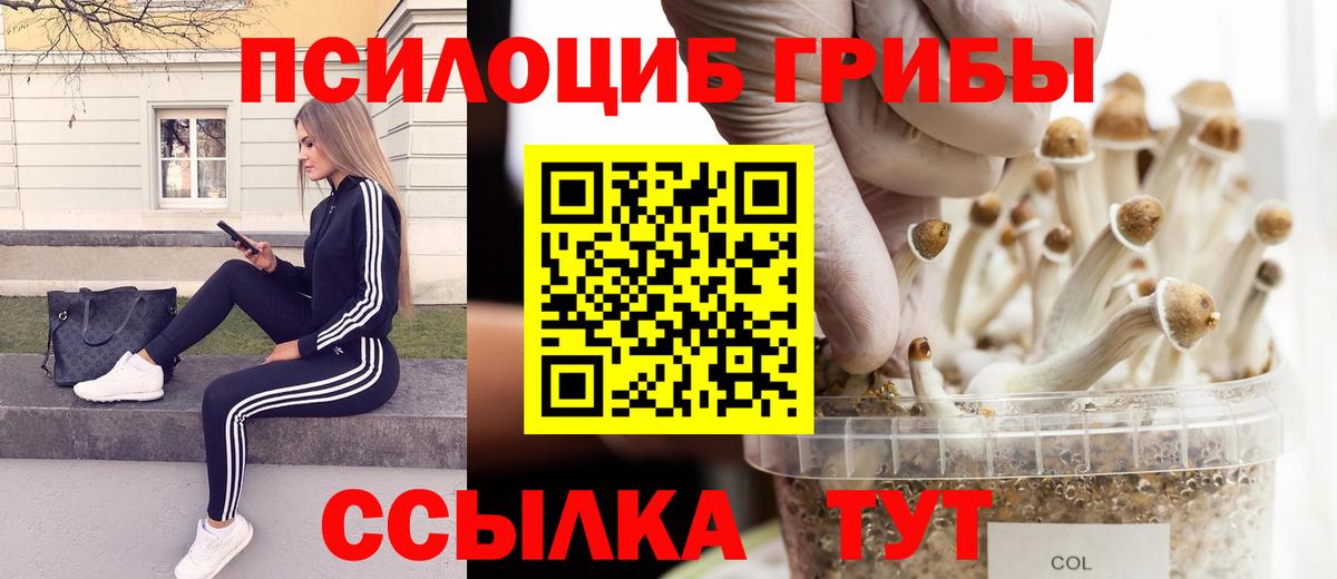 купить закладку  Псилоцибиновые грибы Magic Shrooms  Вход с VPN  Псилоцибиновые грибы Psilocybe  Ипатово 