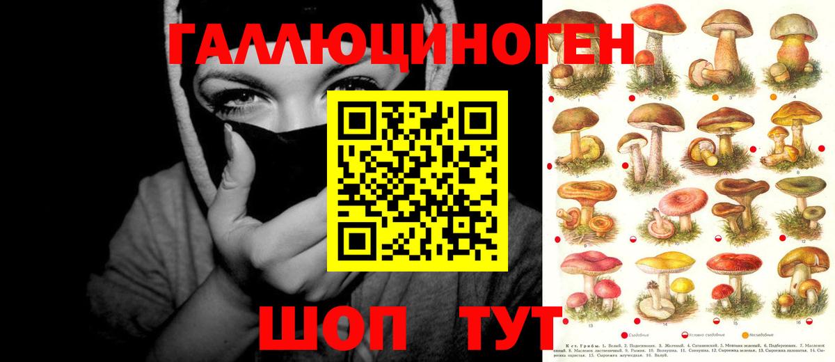 Псилоцибиновые грибы Magic Shrooms Ипатово